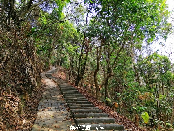 【南投。草屯】蜿蜒步道很親民。 中興新村虎山步道封面圖