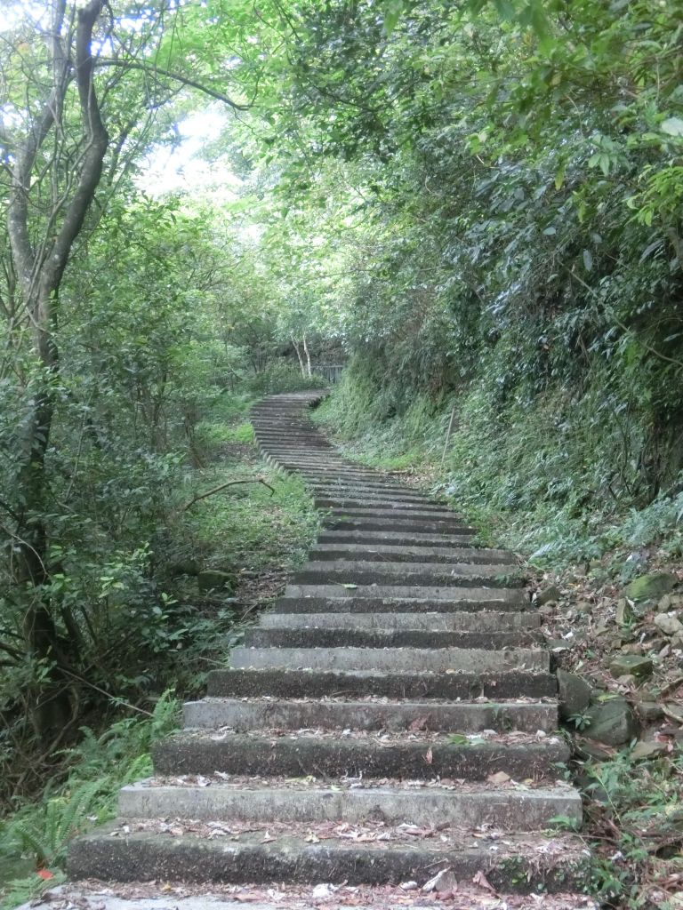 貂山古道．百二崁古道．樹梅坪古道_134107