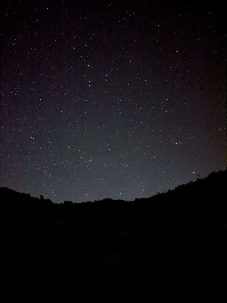 【高雄桃源】小關山林道上小關山_1275085