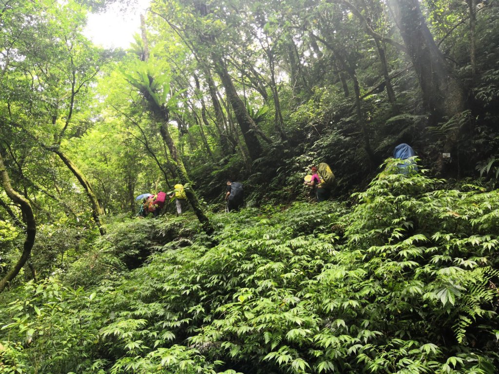 淡蘭古道中路_794553