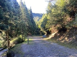 21觀霧國家森林1120710封面圖