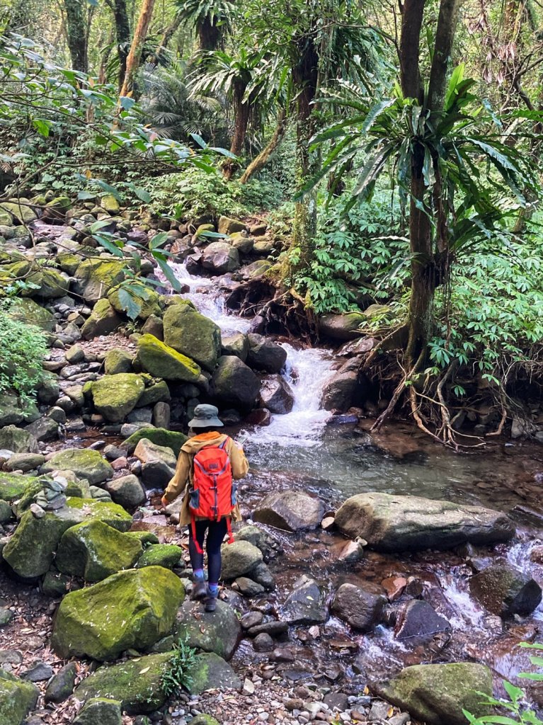 陽明山神秘綠境 • 鹿角坑保護區_2038612