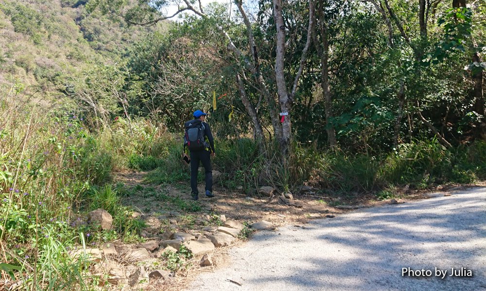 恆春半島第一高峰-里龍山(竹坑登山口入)封面圖