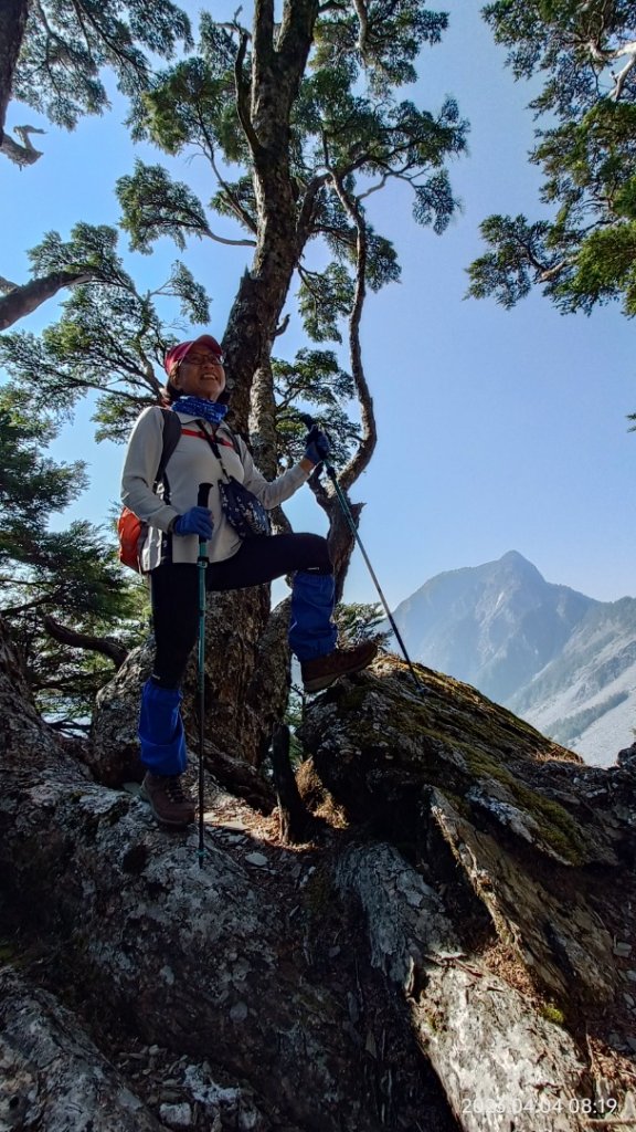 北二後段甘薯無明_2116470