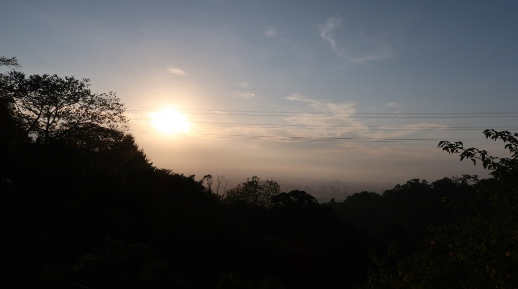 大坑9號步道_1146785