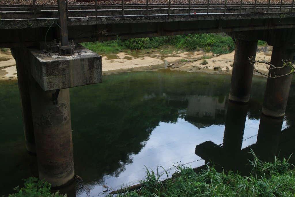 新北．三貂嶺友善生態隧道2023/08/08_2245854