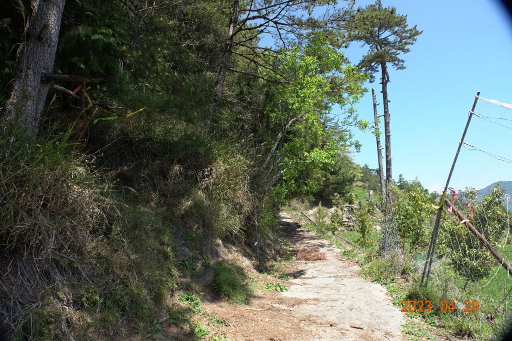 南投 仁愛 武法奈尾山_2133723