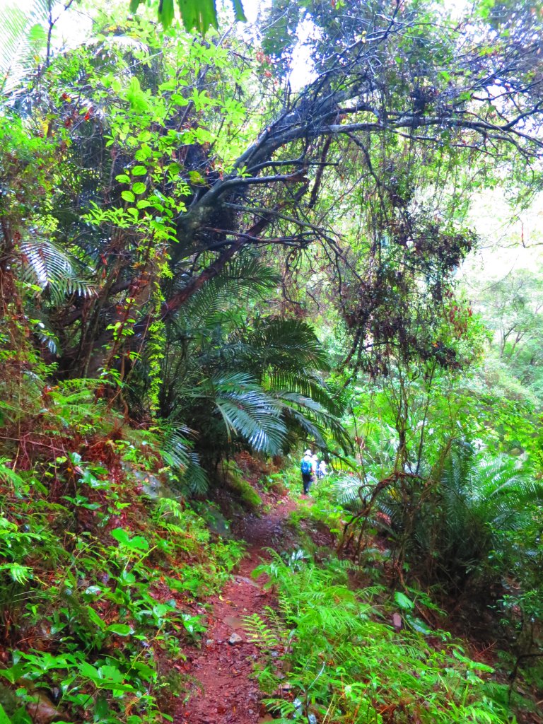 最美的步道名--德芙蘭生態步道_625155