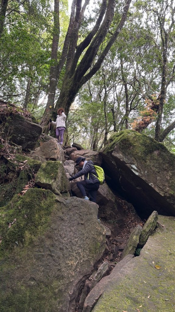 加里山 2025 12/28_2971696