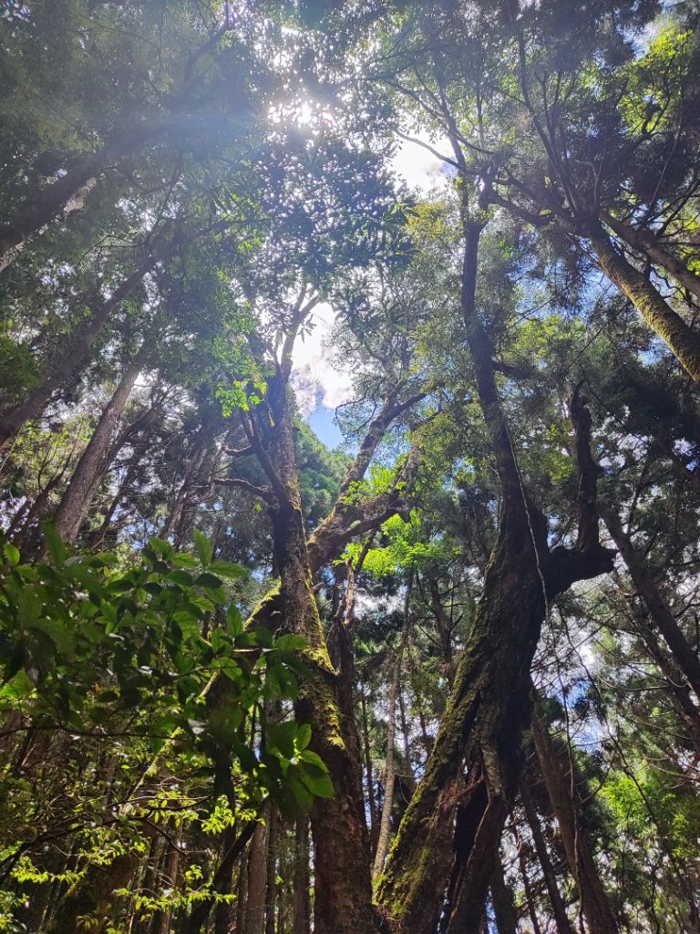 民都有山_2844997