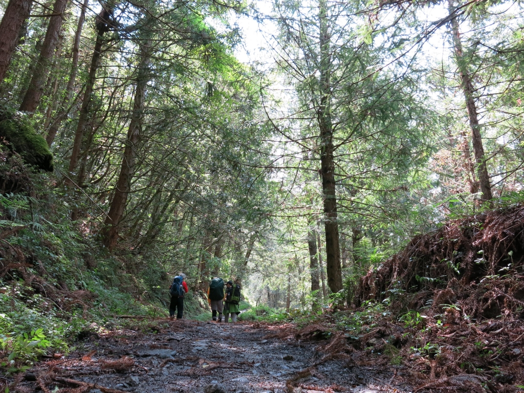 加羅湖散策_36121