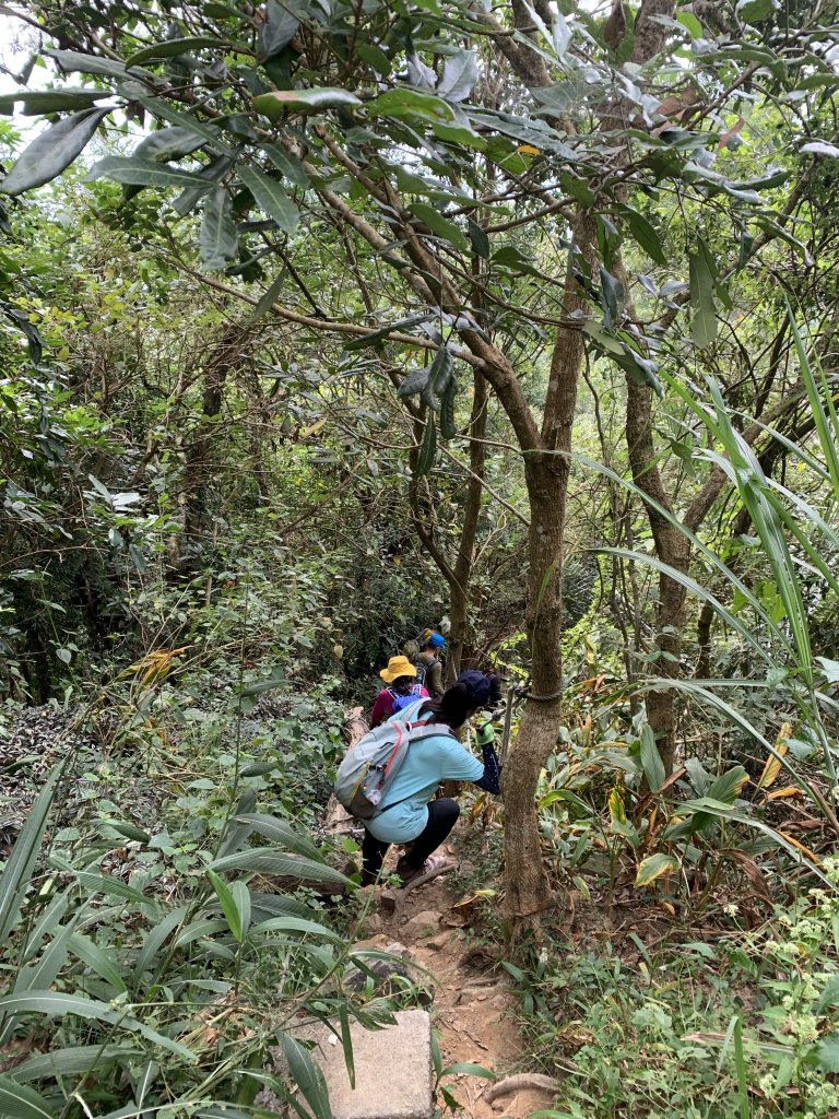 20231111台南烏山縱走_2354232