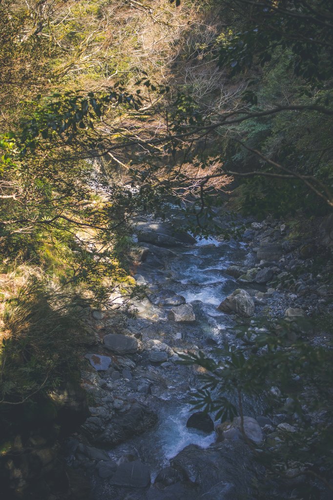 20240216~17-屏風山_2534605