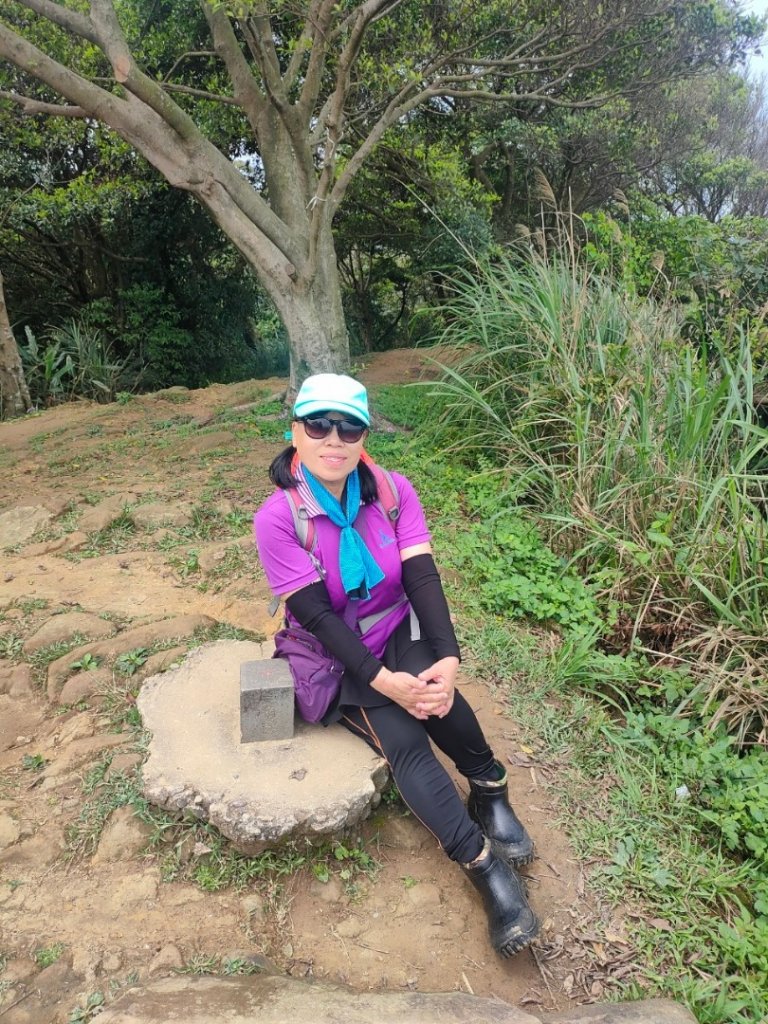 樹鶯縱走（樹林~鶯歌）_2237568