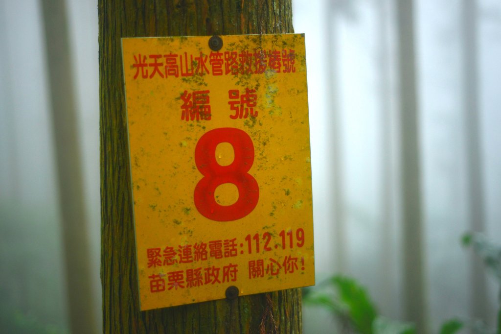向天湖山步道 (大 O：含三角湖山、光天高山)_2664944