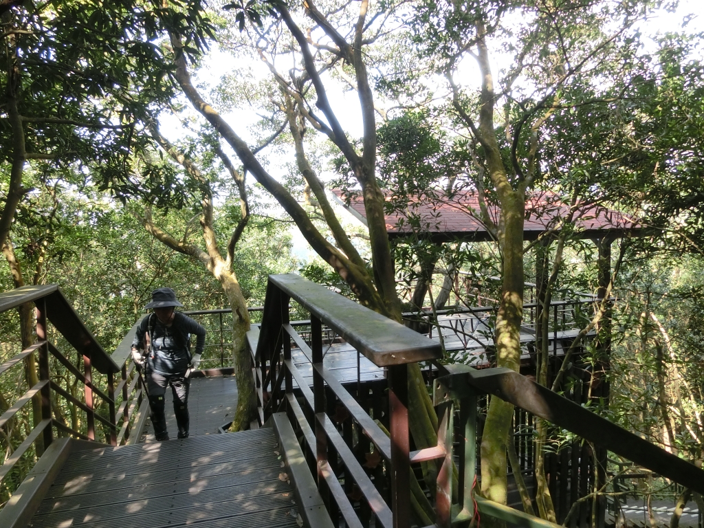 大崙頭尾山_92972