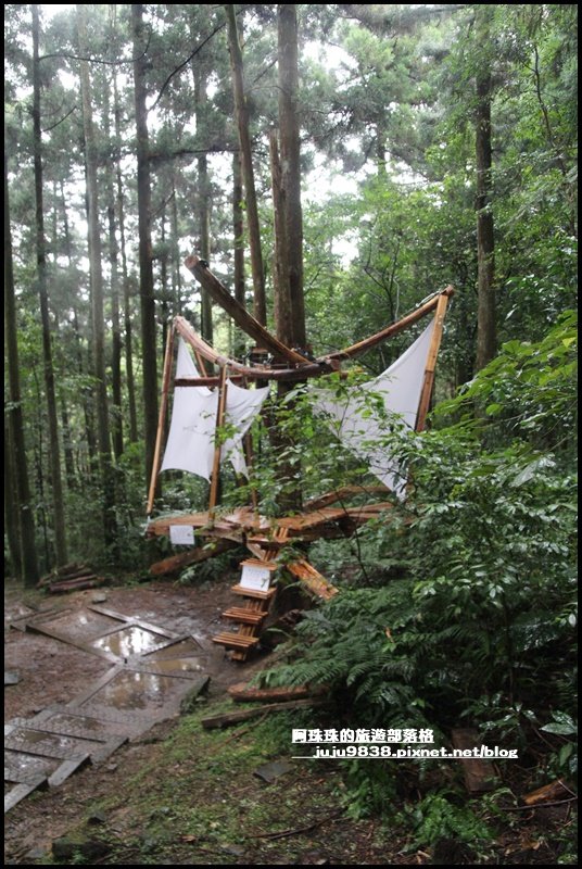 東眼山打卡新亮點森林裡的木構裝置藝術_1021827