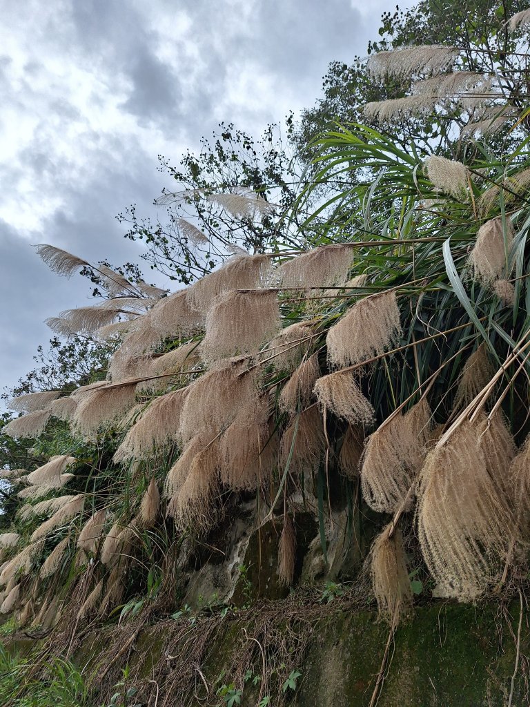 仙山古道群峰O型_2693725