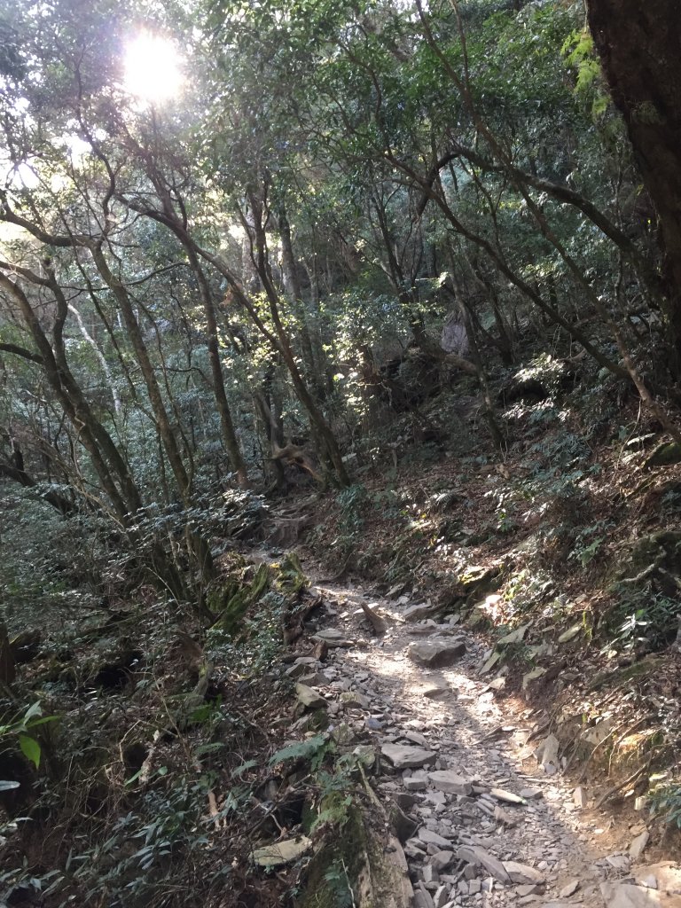 20210320屏東二刷單攻北大武山_1321260