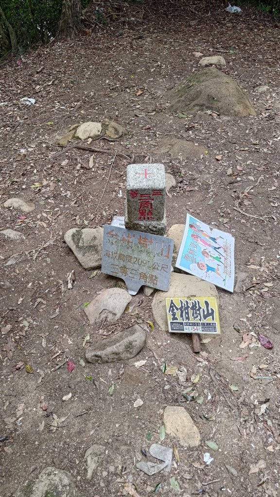 金柑樹山_2759438