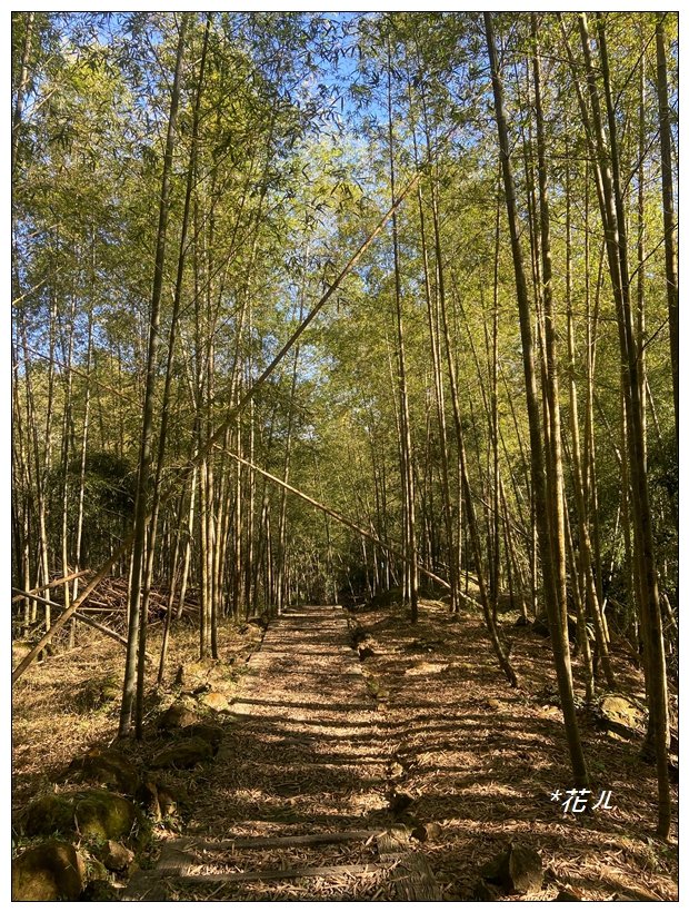 鳳凰谷步道(鹿谷鄉)_2690444