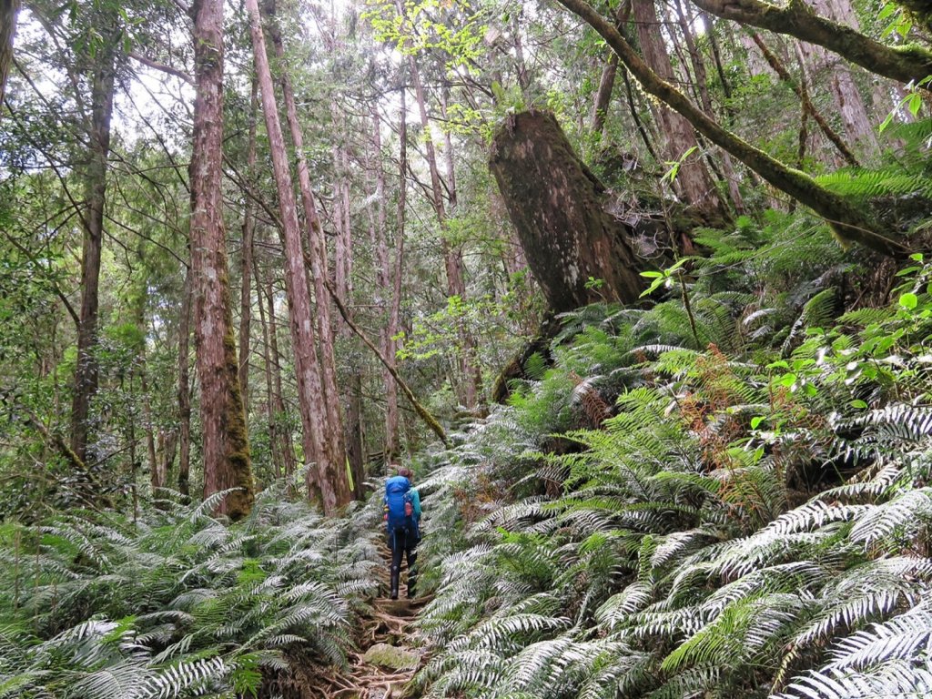 夢幻加羅湖_680854