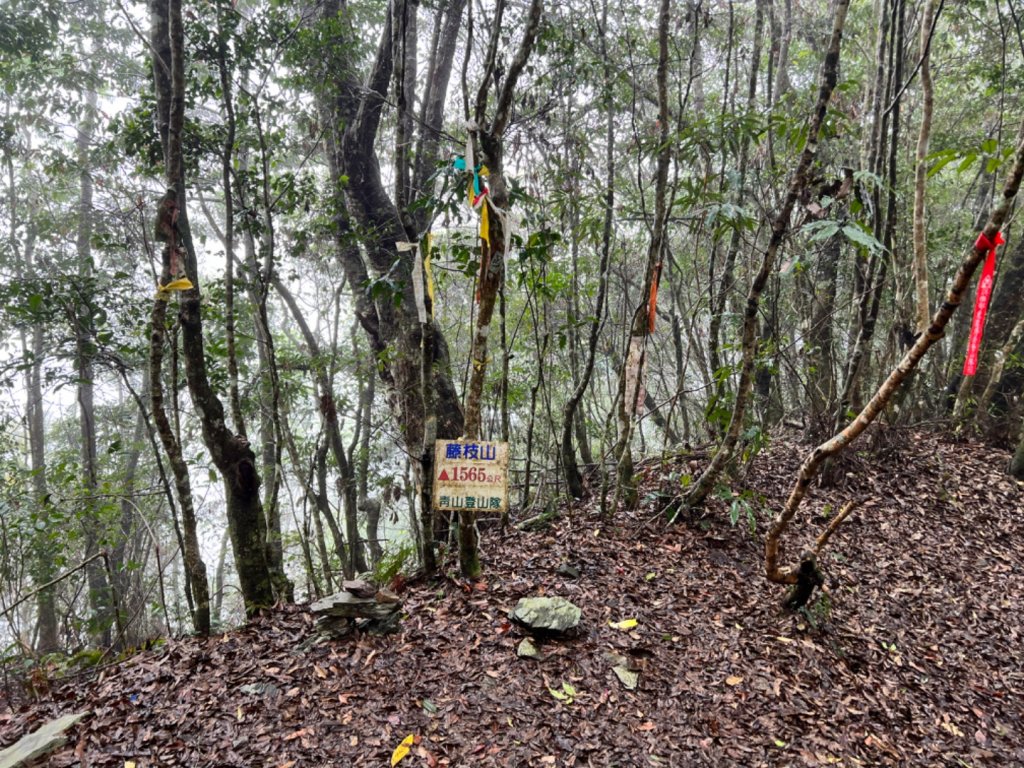 2023-05-08 藤枝山（小百岳、茶園上）封面圖