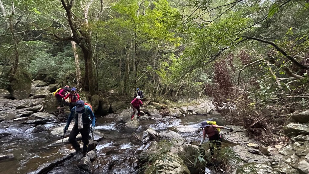 復興赫威神木_2748201