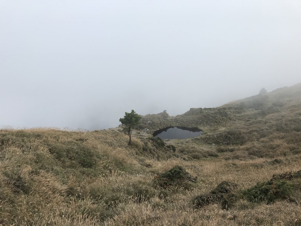 能高安東軍縱走之鹿_1192483