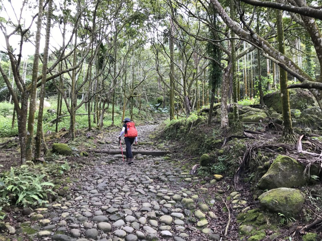 關子嶺大凍山步道_188316