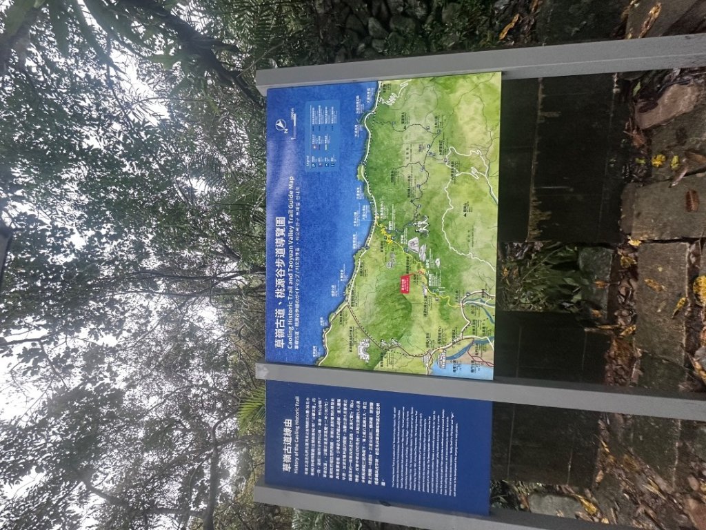 2024草嶺古道芒花季草嶺古道_2644794