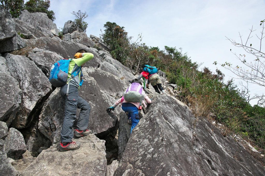鳶嘴與稍來O型_552783