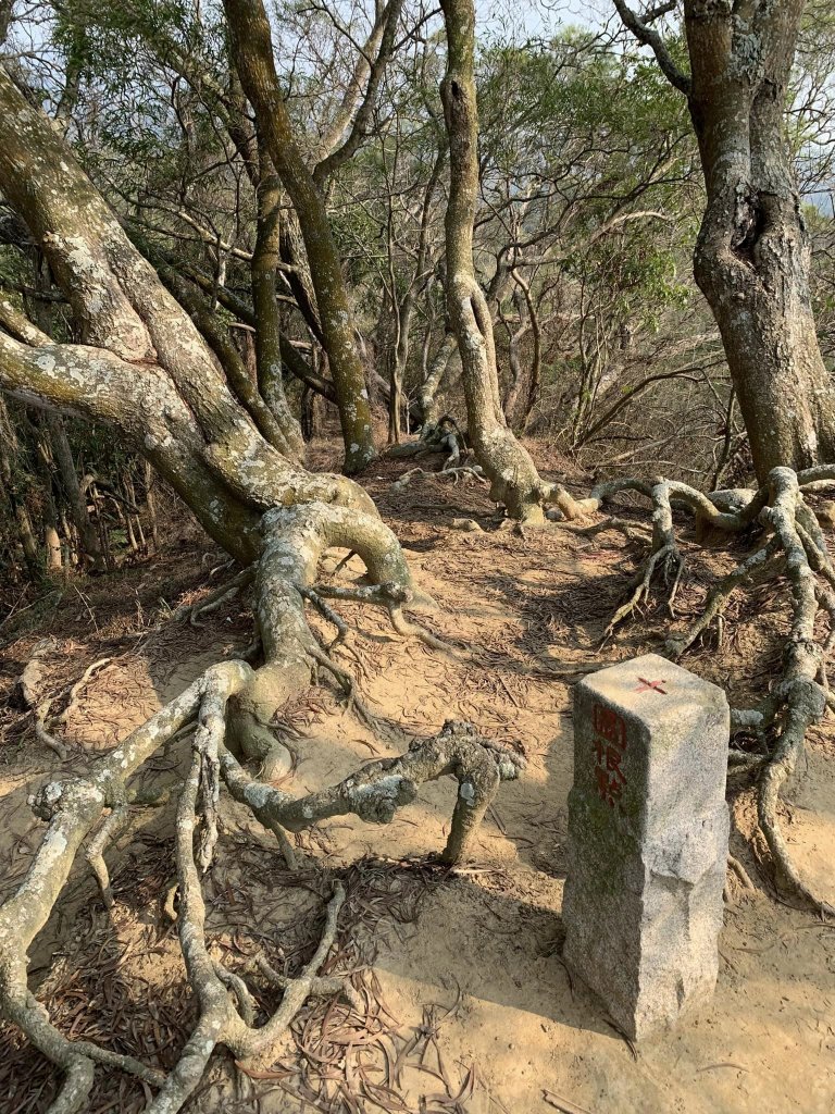 台中潭子區大胡山與聚興山隨意走（小百岳）封面圖