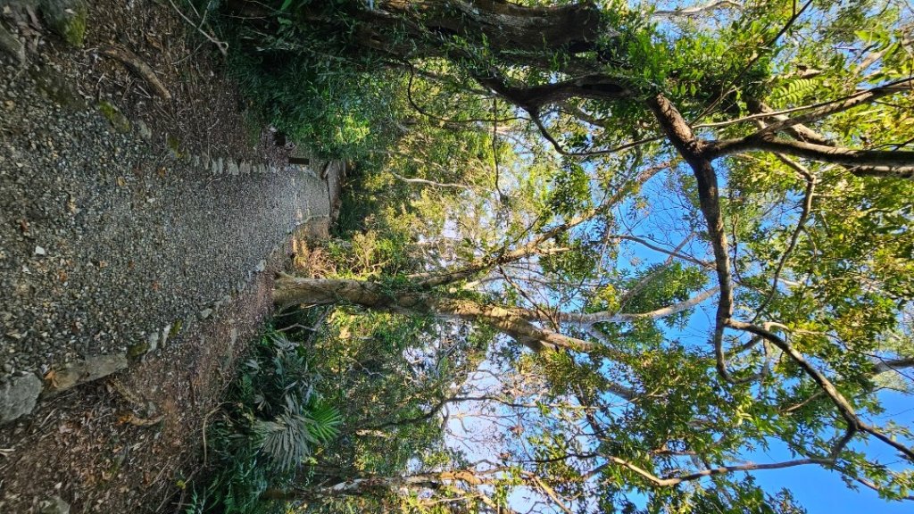 【爬山會爬上癮】五刷小百岳#089鯉魚山。_2824761