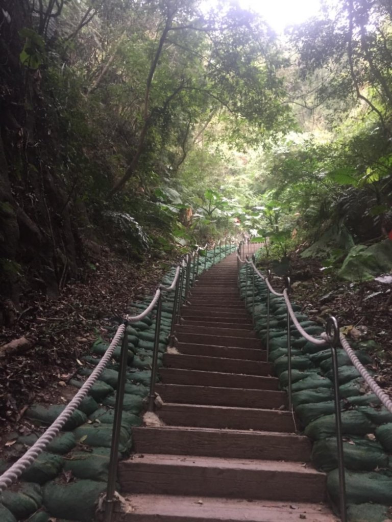 20190119 松柏嶺登廟步道_507376