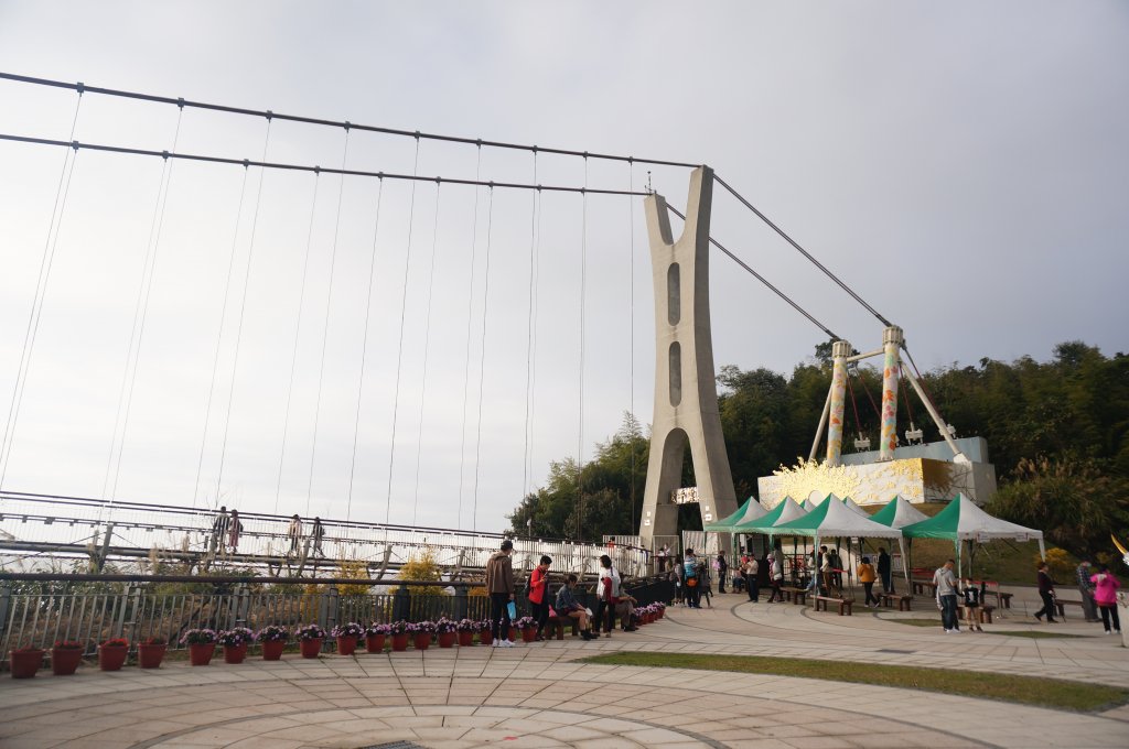 太平雲梯_2013885