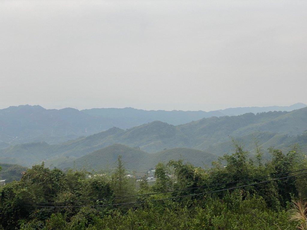 037苗栗泰安-馬那邦山_2604649