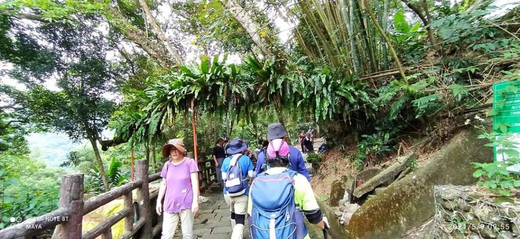 天上山（小百岳集起來）- 前半段路徑和靄可親、後半段面目猙獰_1379321