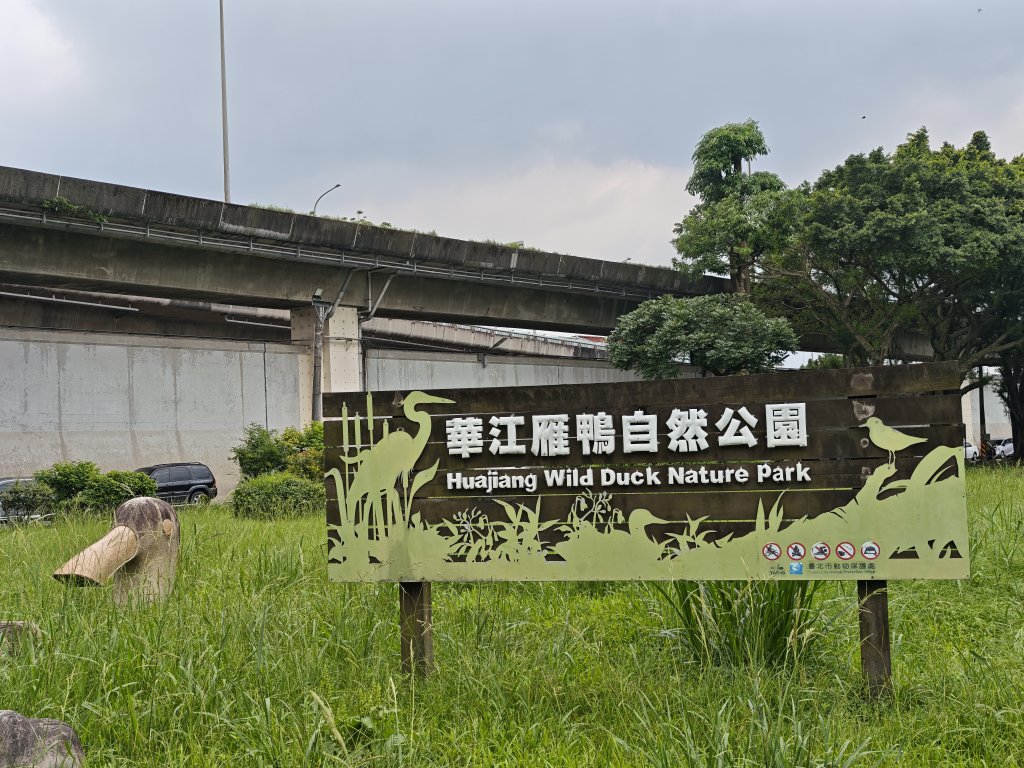 [跟著2025雙北世壯運探索雙北市-1/21] 2025_0607 飛盤競技道（華江雁鴨河濱步道）_2807808