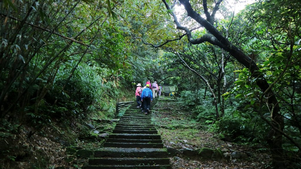 走進幽幽的歷史長廊～淡蘭古道朝聖之路_466240