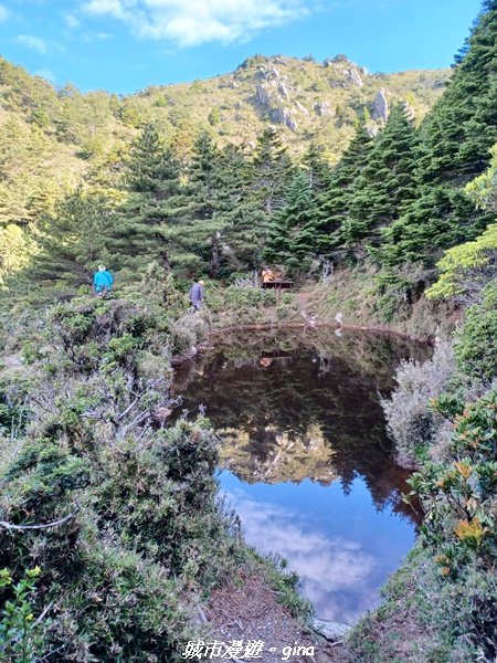 【台東海端】坐的夠久等到藍寶石般的嘉明湖。No27百岳三叉山x No16百岳向陽山 (三天兩夜)_2221290