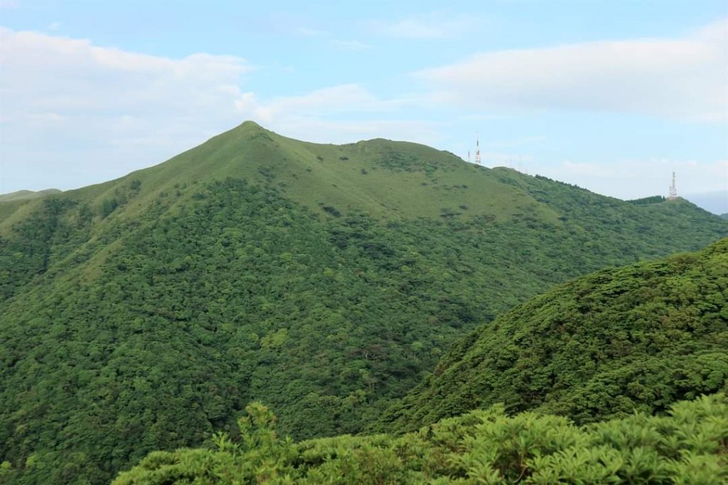 陽明山  菜公坑山 反經石   水車寮步道。林木蓊鬱  豐富的蕨類植披，絕佳避暑古道_2174061