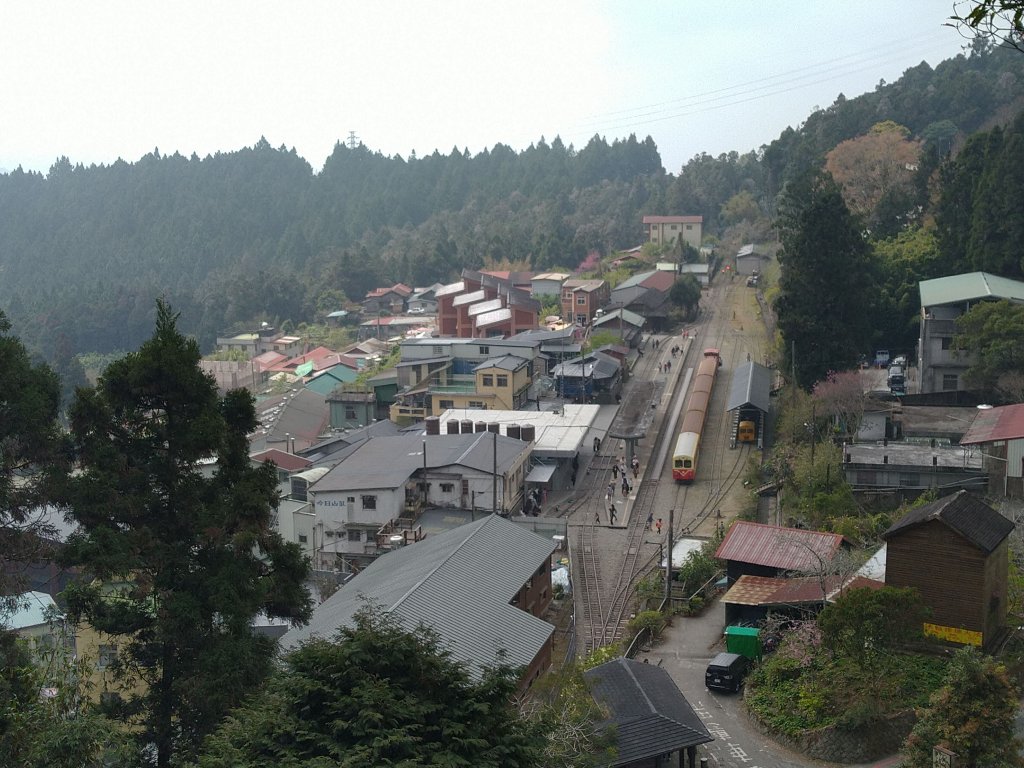 2023-03-04 奮起湖奮起步道_2057733