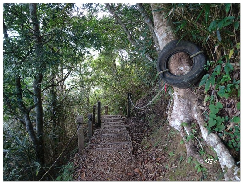 馬那邦山(小百岳)/上湖登山口_2427043