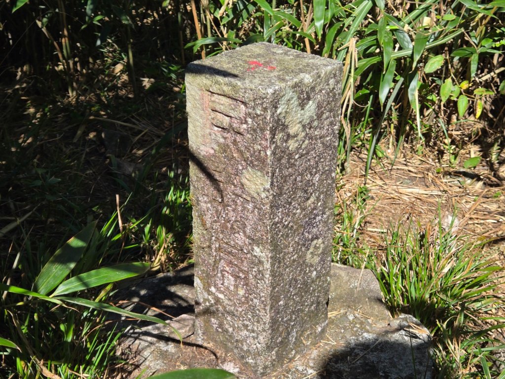 大屯主峰-連峰步道環形（小百岳）_2904331