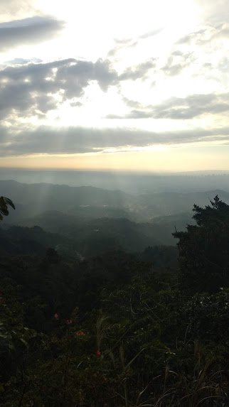 2020 1/16 頭嵙山 大坑步道_851470