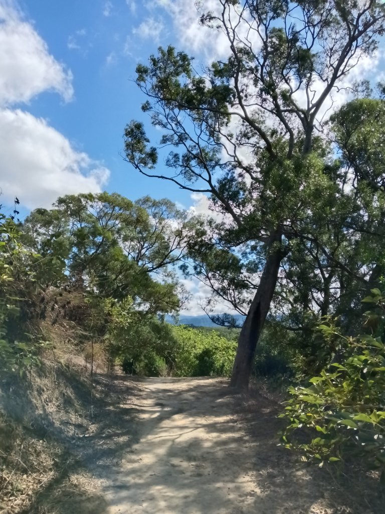 頭份鎮鹿廚坑步道+鹿廚坑山_2938001