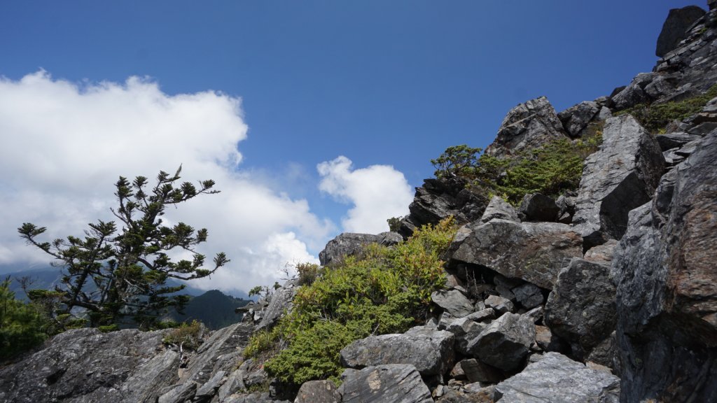 南橫溪頭山_1789953