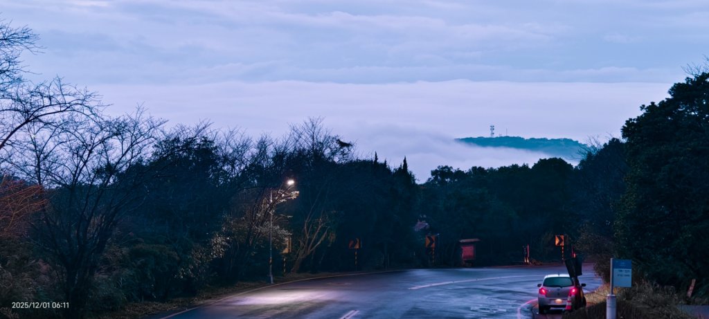 #陽明山 趴趴走12/1_2950331