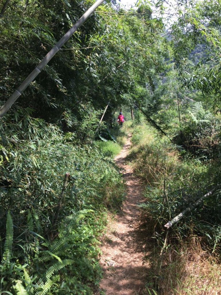 獨立山、太平老街O型走_413973